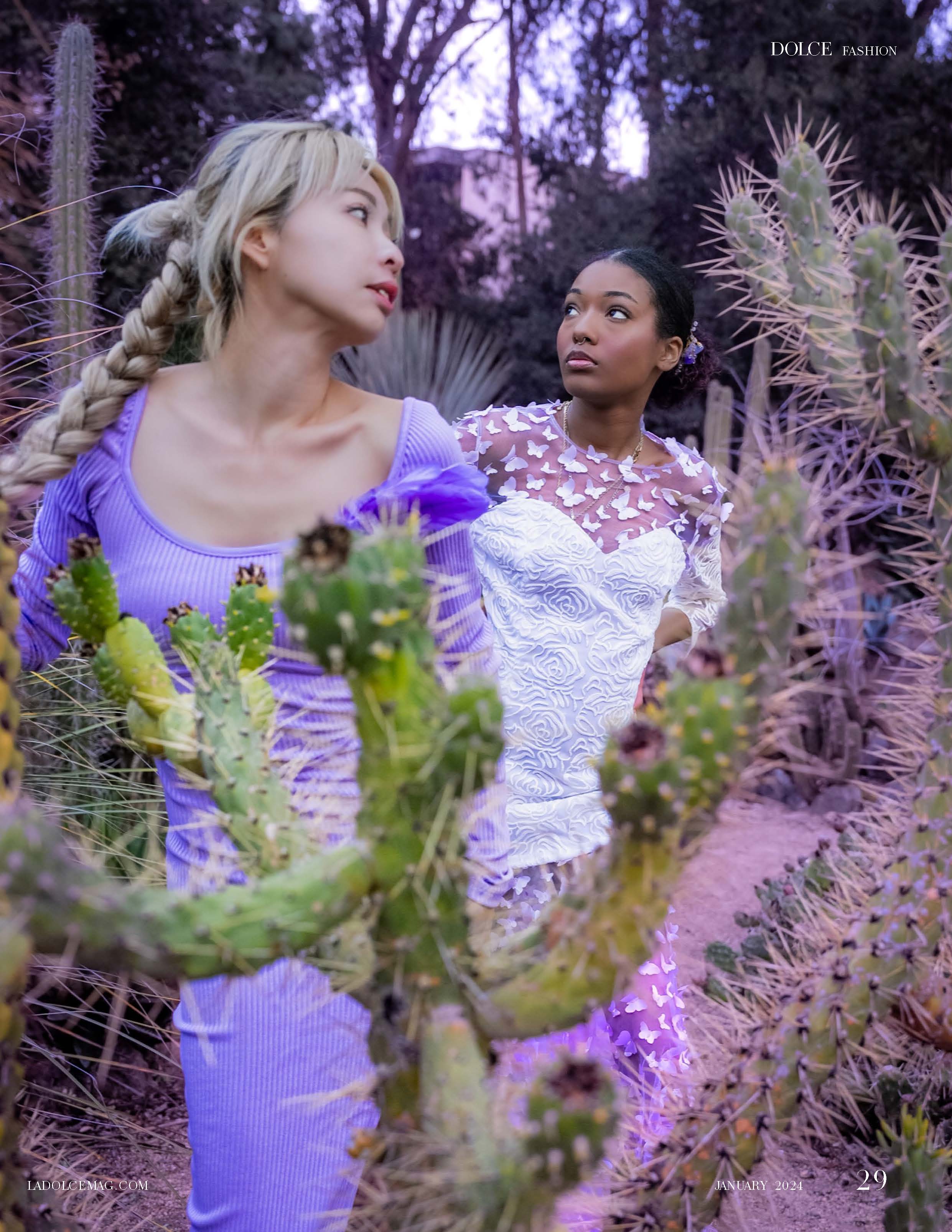 DOLCE Magazine: Purple Gems