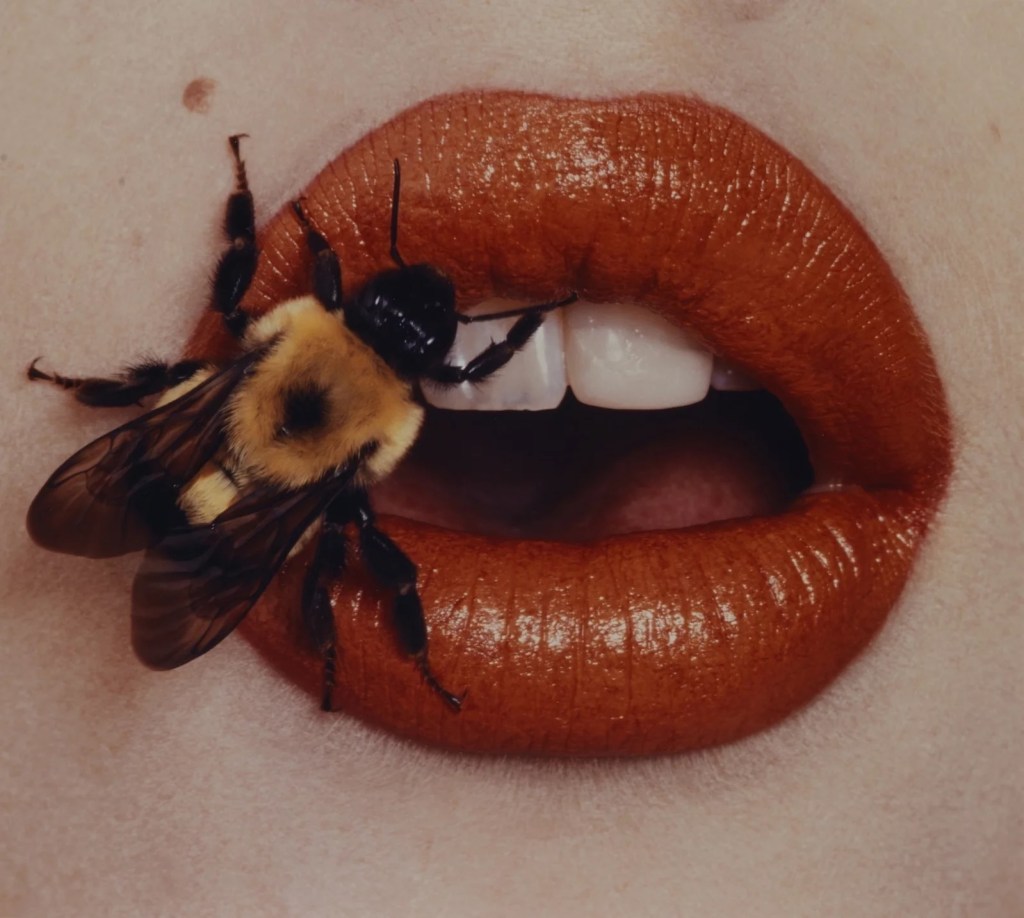 Irving Penn’s “Bee” (1995)