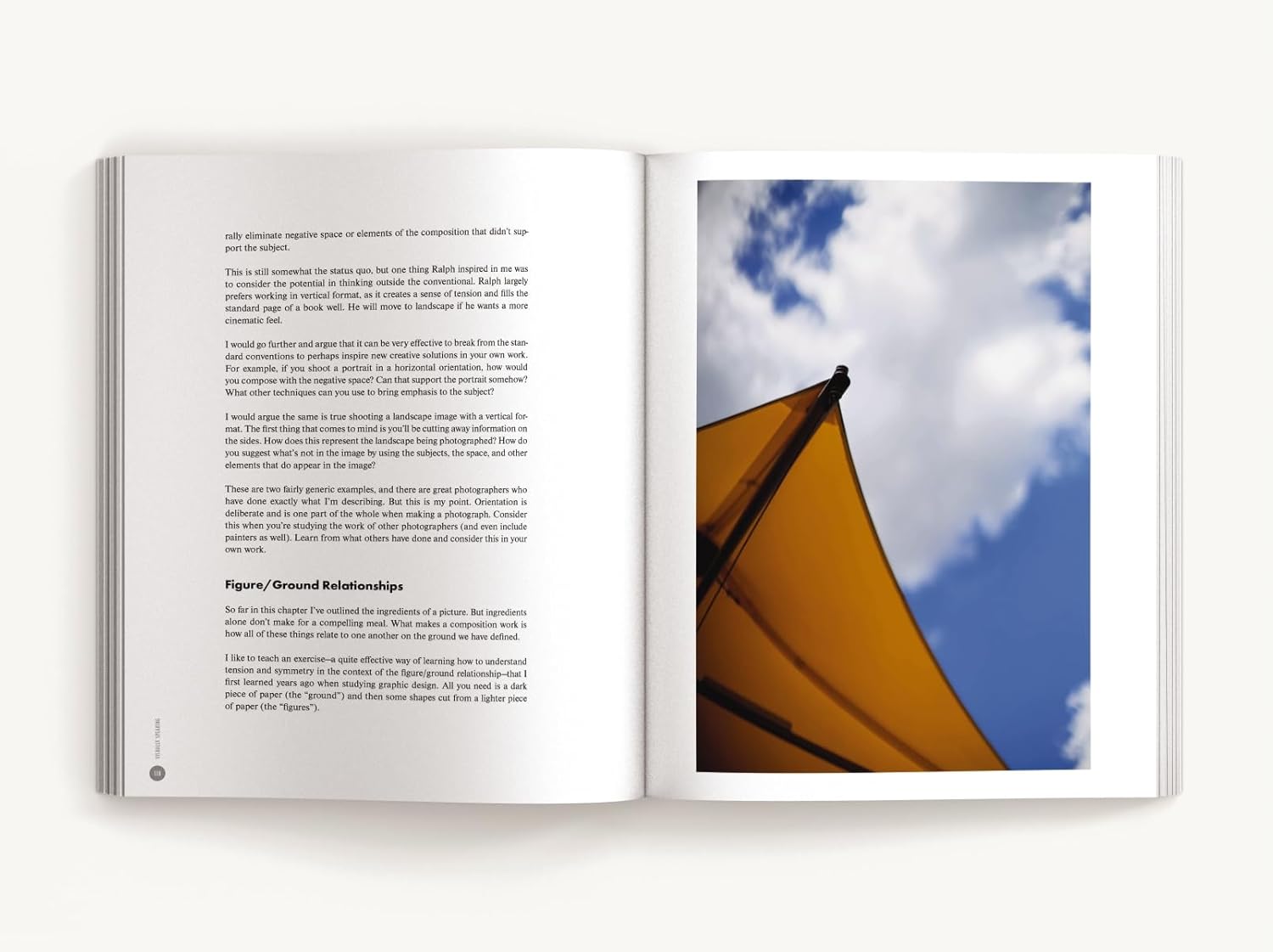 Ted Forbes Visually Speaking Mastering The Art of Photography Book