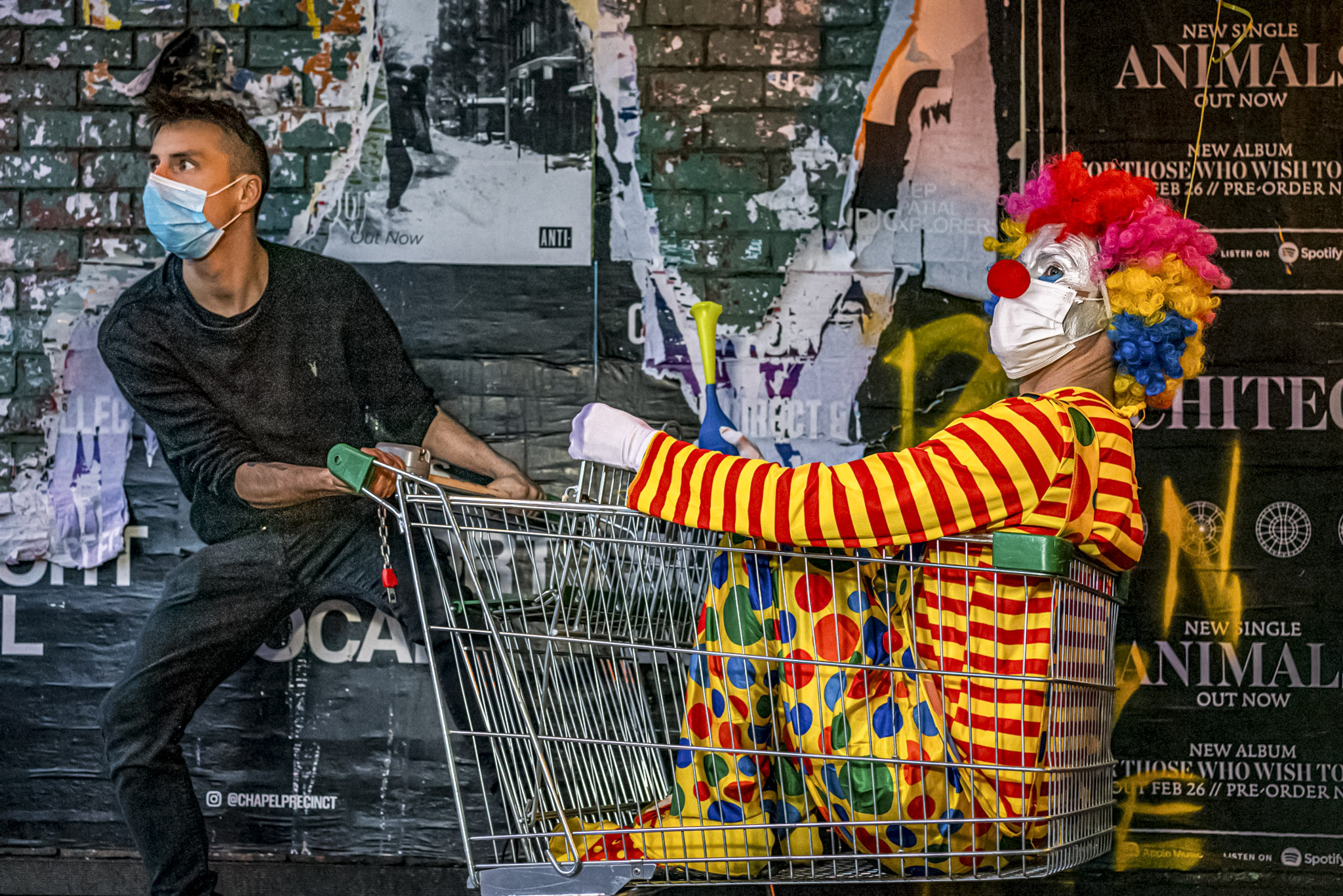 Clarence The Clown | Saint Kilda | Kisau Photography