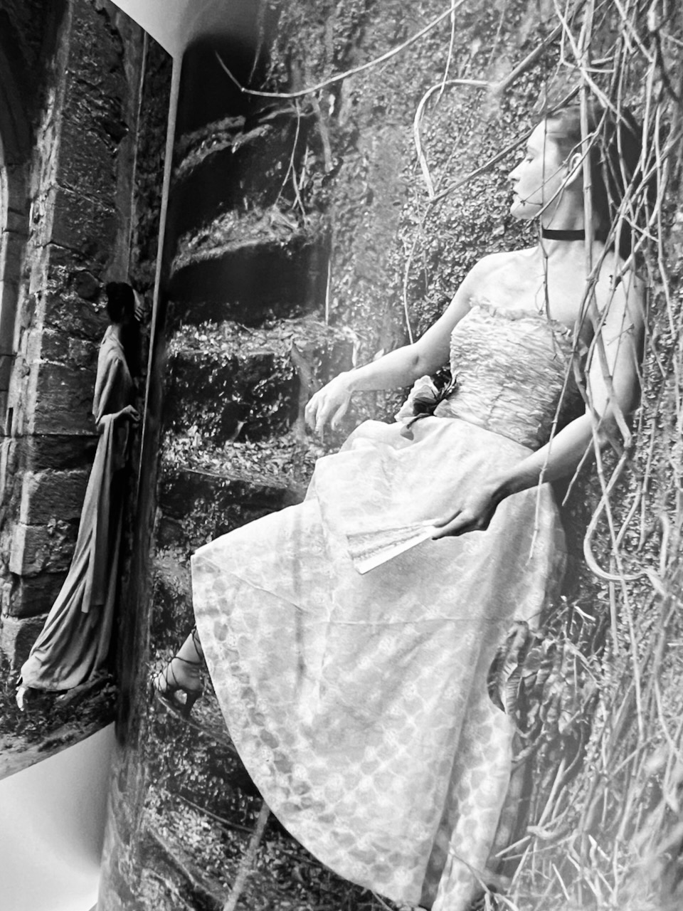 Norman Parkinson | Style: Photographs for Vogue | Book Review | The Book Corner | Kisau Photography