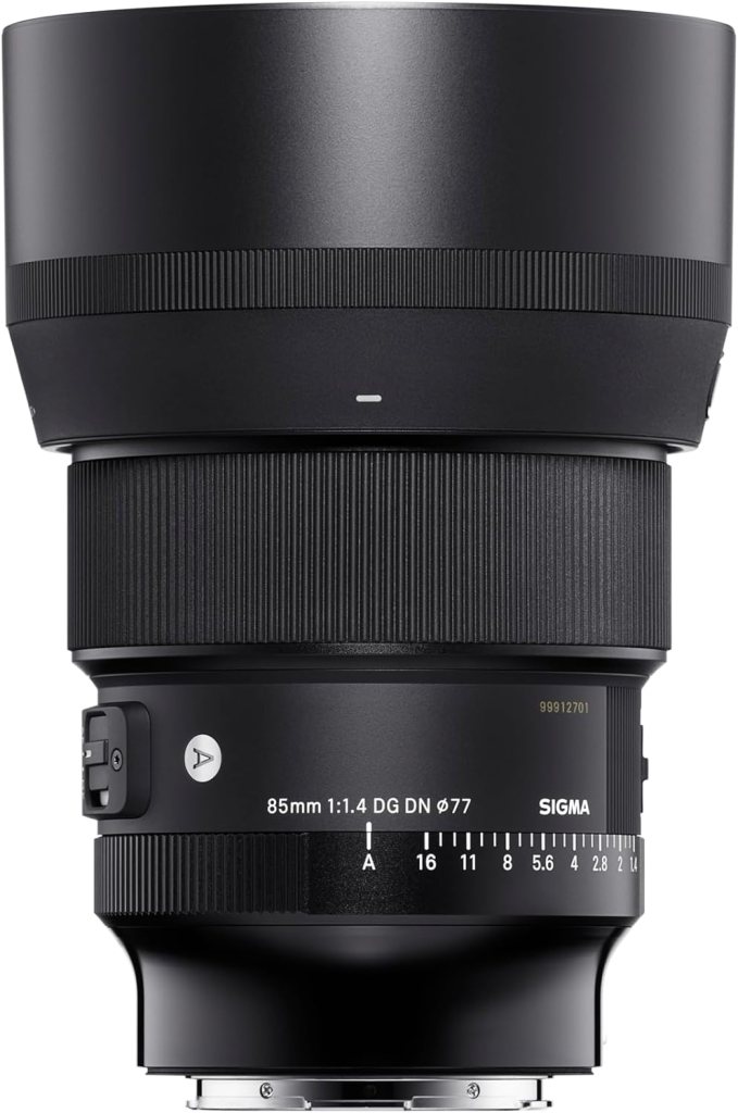 Sigma 85mm F1.4 DG DN ART