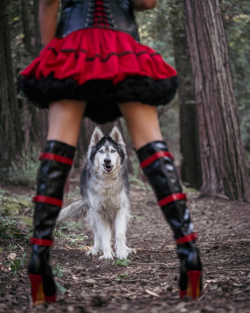 Photography Challenges and How to Overcome Them: Working With Animals