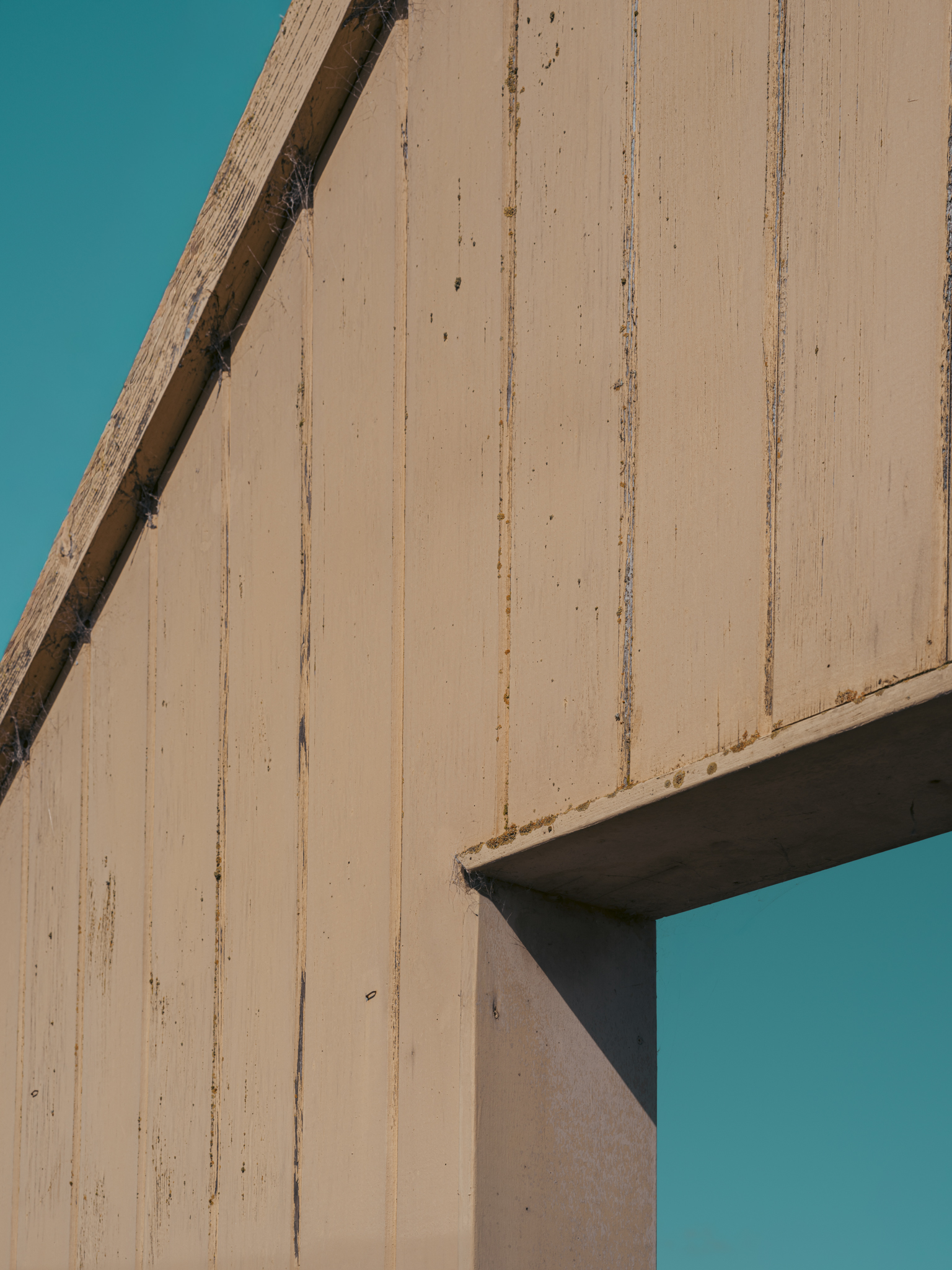 Nature Breathes. The Doorway Listens. I Transform | Stacy Huang | Kisau Photography