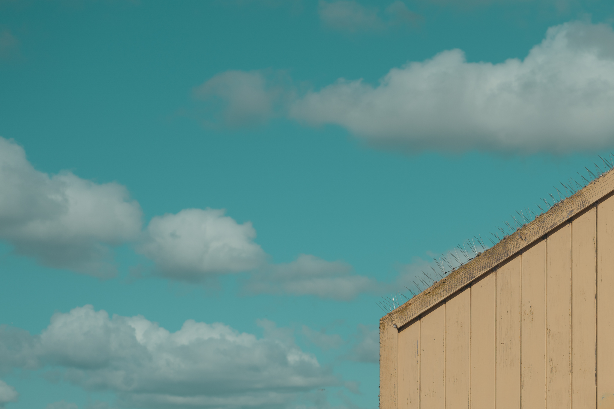 Nature Breathes. The Doorway Listens. I Transform | Stacy Huang | Kisau Photography