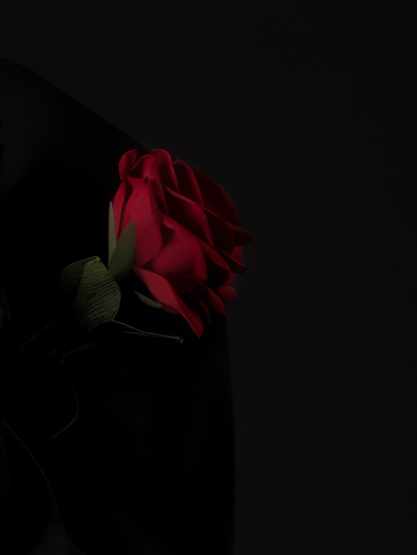 Cropping With Intention | Kisau Photography