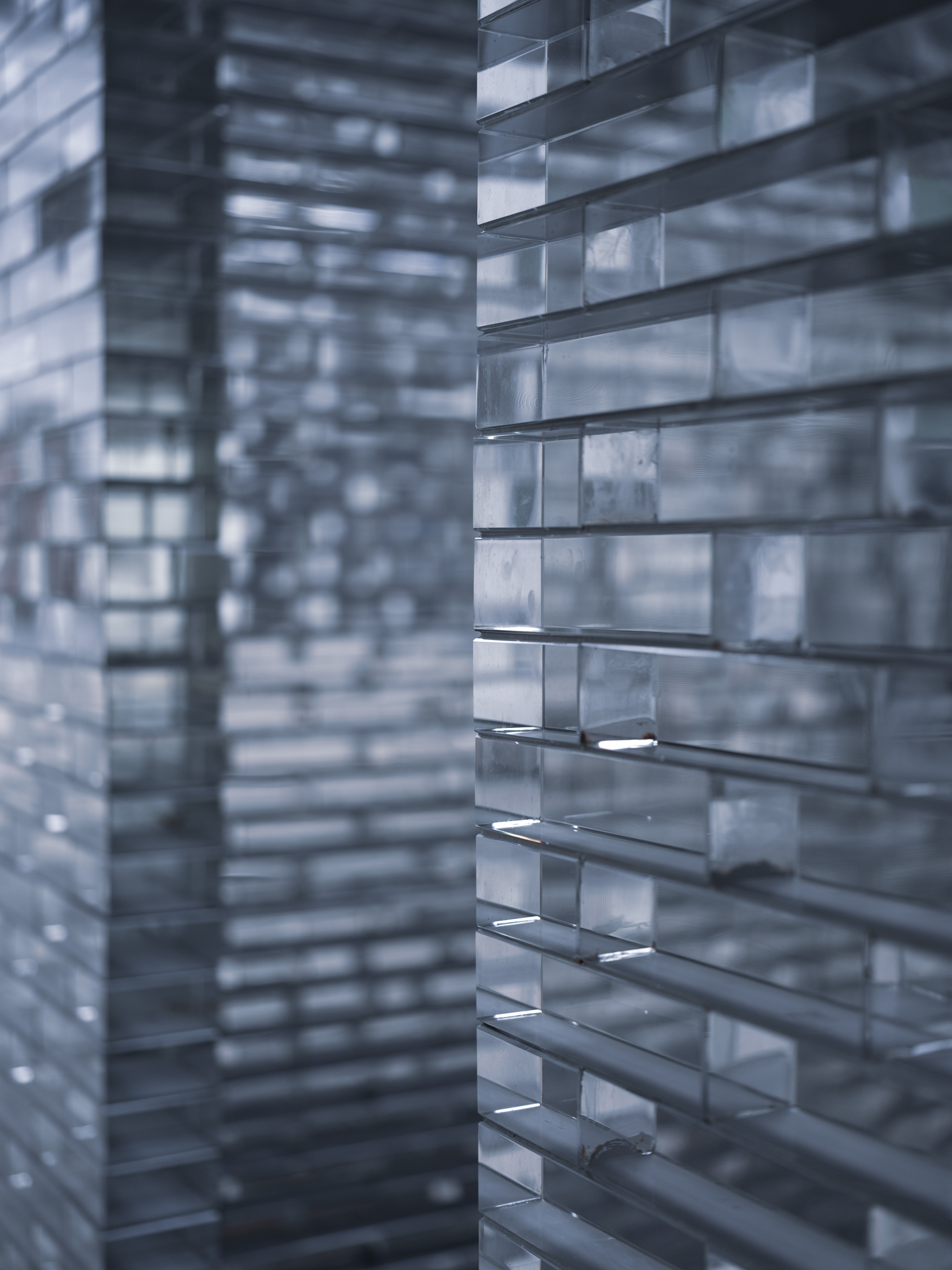 Meko Cheung | Bach Mai | Hong Kong