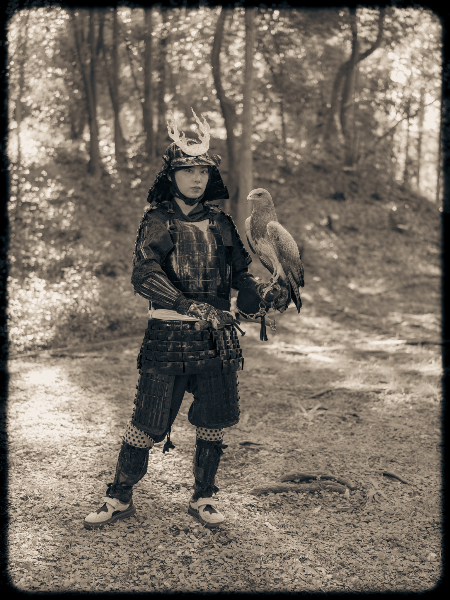 Samurai | Raptor | Japan | Kisau Photography