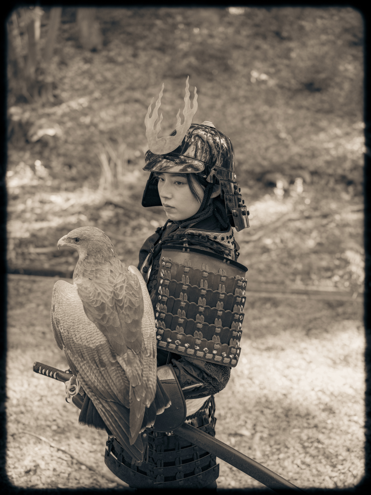 Samurai | Raptor | Japan | Kisau Photography