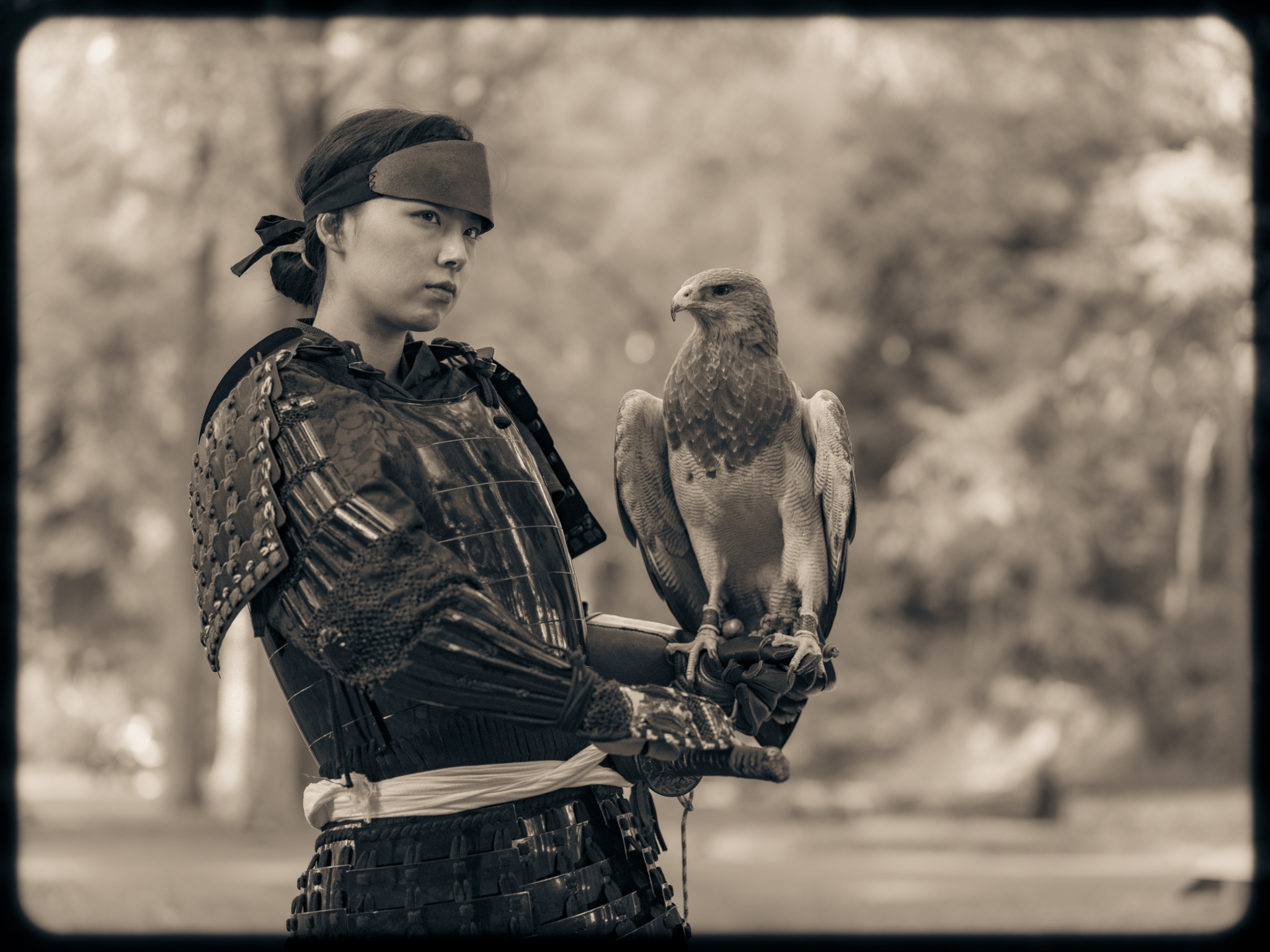 Samurai | Raptor | Japan | Kisau Photography