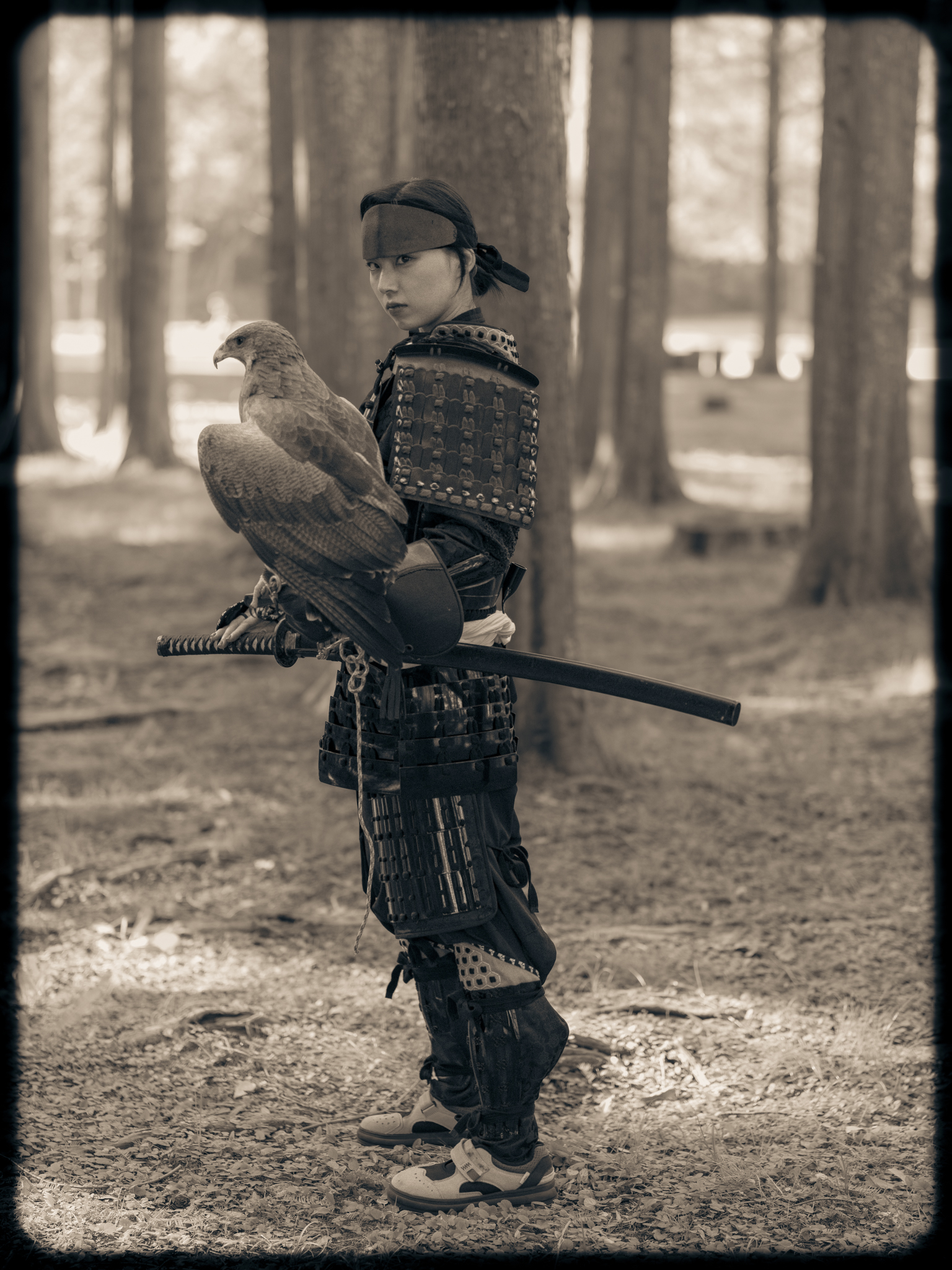 Samurai | Raptor | Japan | Kisau Photography