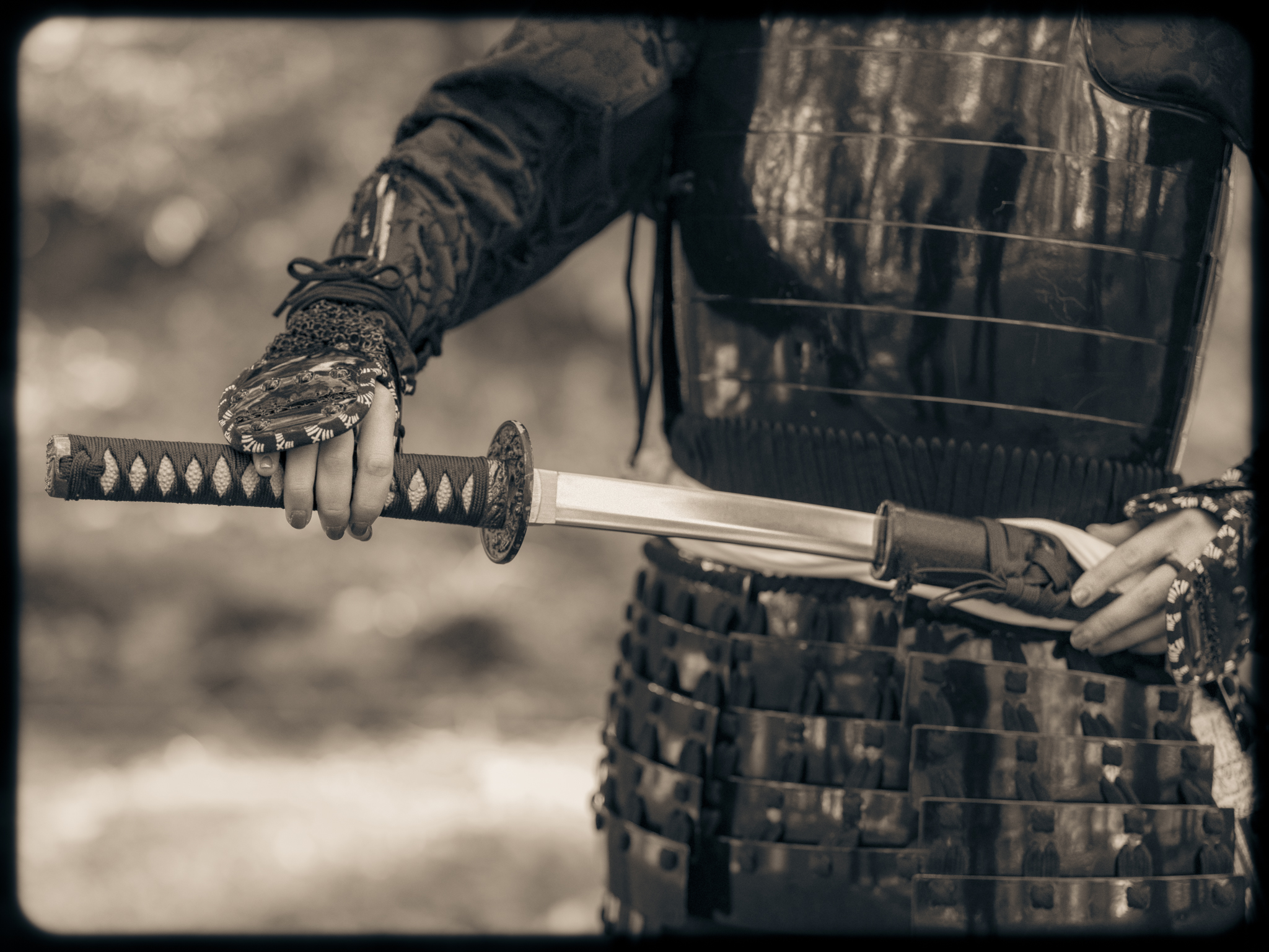 Samurai | Raptor | Japan | Kisau Photography