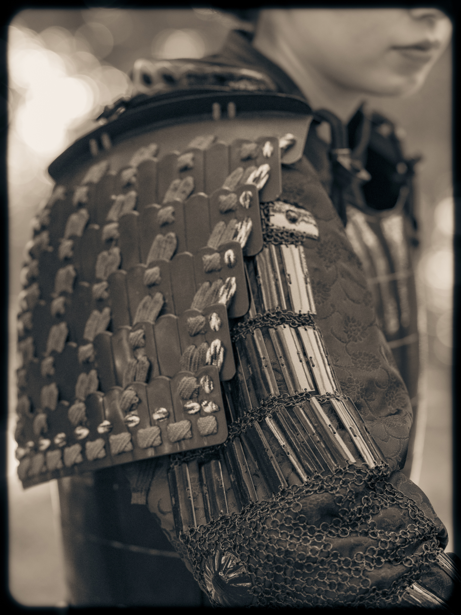 Samurai | Raptor | Japan | Kisau Photography