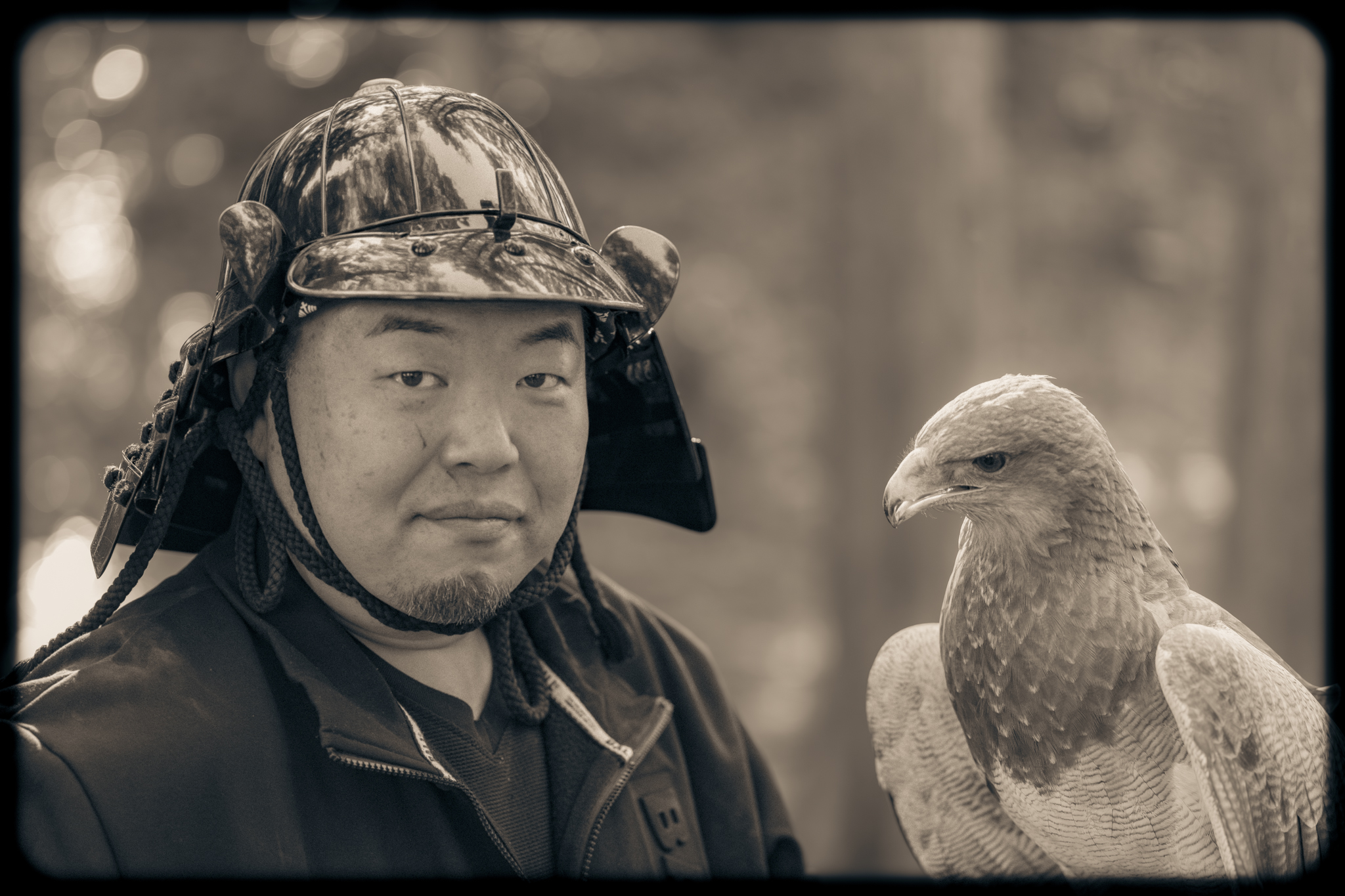Samurai | Raptor | Japan | Kisau Photography